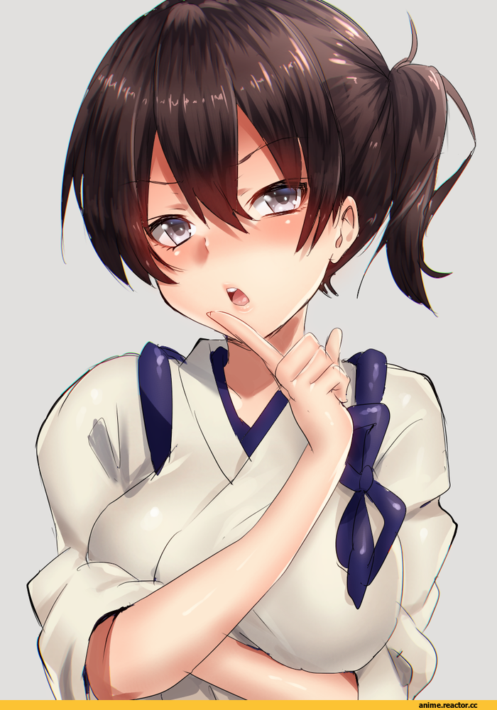 Kaga (Kantai Collection), Kantai Collection, Anime