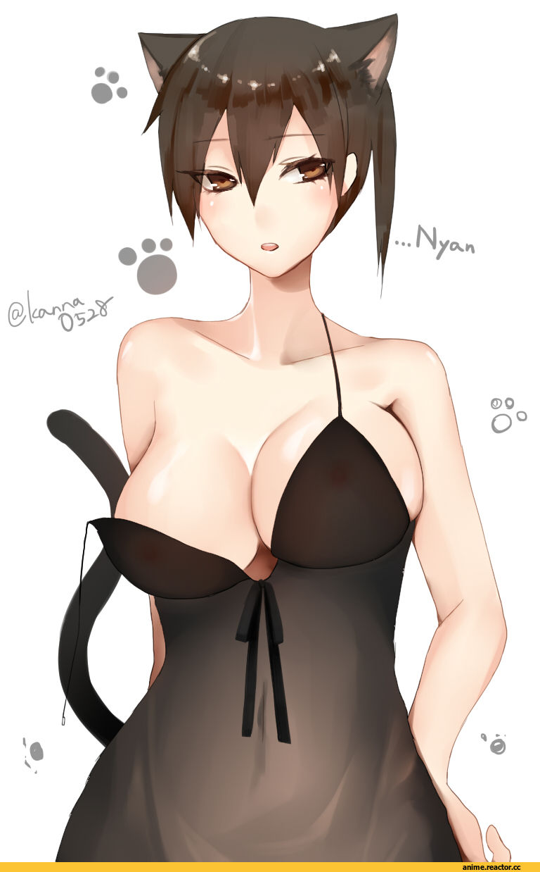 Kaga (Kantai Collection), Kantai Collection, neko, Animal Ears, Anime Ero, Sakiryo Kanna, Anime
