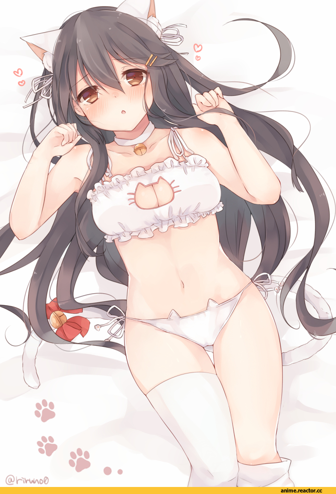 Haruna (Kantai Collection), Kantai Collection, Cat Keyhole Bra, Anime Ero, nekomimi, Animal Ears, Anime