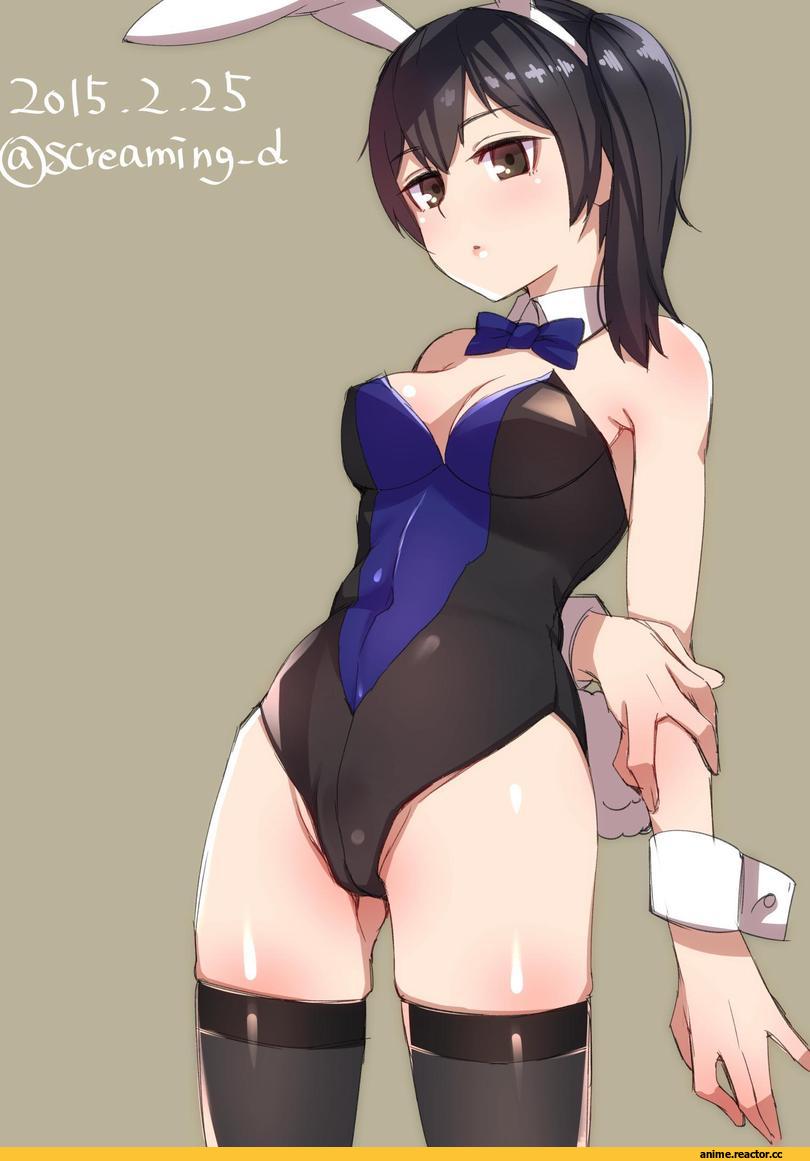 Kaga (Kantai Collection), Kantai Collection, Usagimimi, Animal Ears, Inuhasiru, Anime