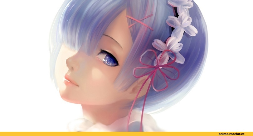 Rem (re zero), Re Zero Kara Hajimeru Isekai Seikatsu, Anime
