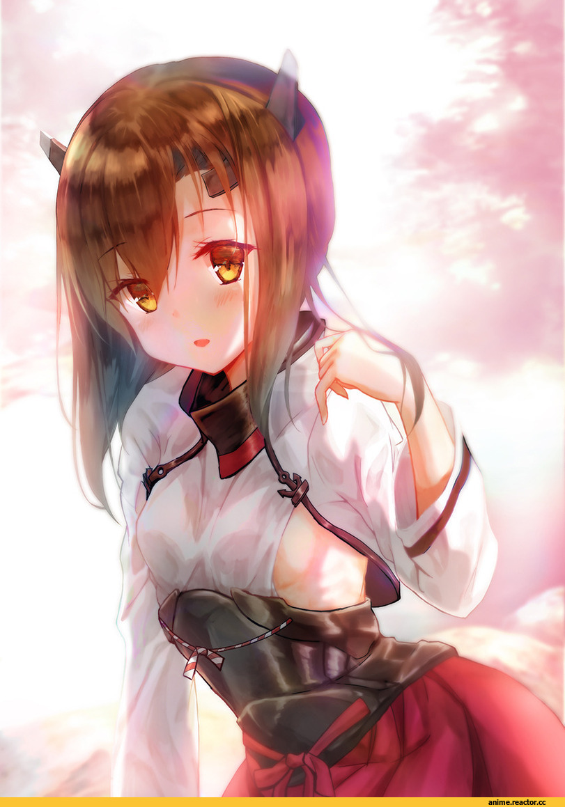 Taihou, Kantai Collection, daitai sotogawa (futomomo), Anime