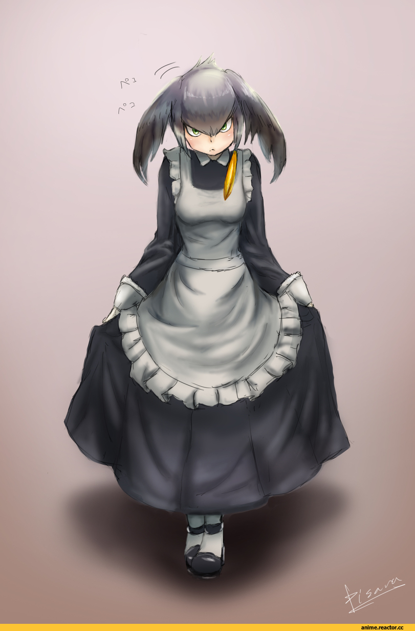 Kemono Friends, Shoebill (Kemono Friends), Maid, Anime