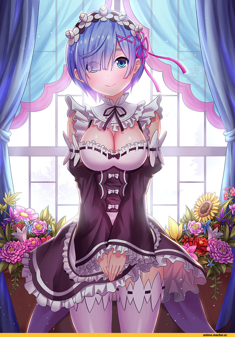 Rem (re zero), Re Zero Kara Hajimeru Isekai Seikatsu, tako seijin, Anime