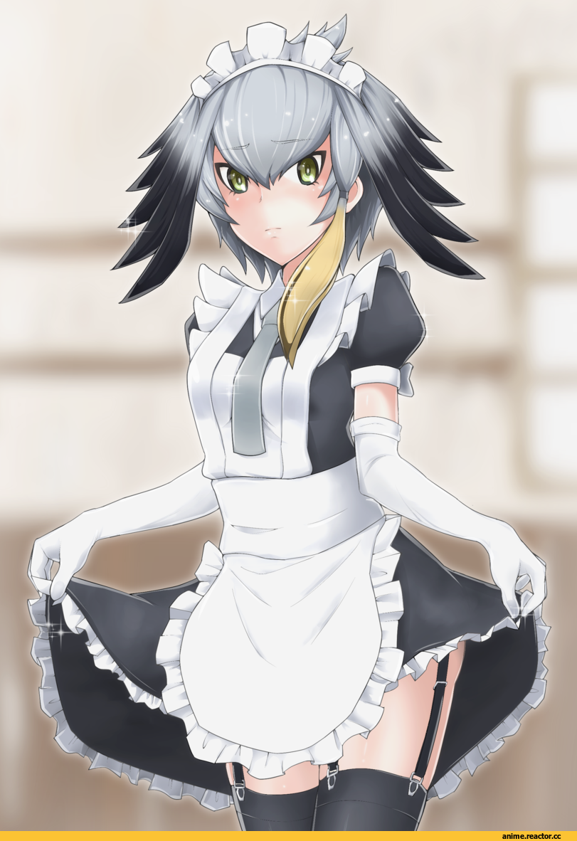 Kemono Friends, Shoebill (Kemono Friends), Maid, Anime