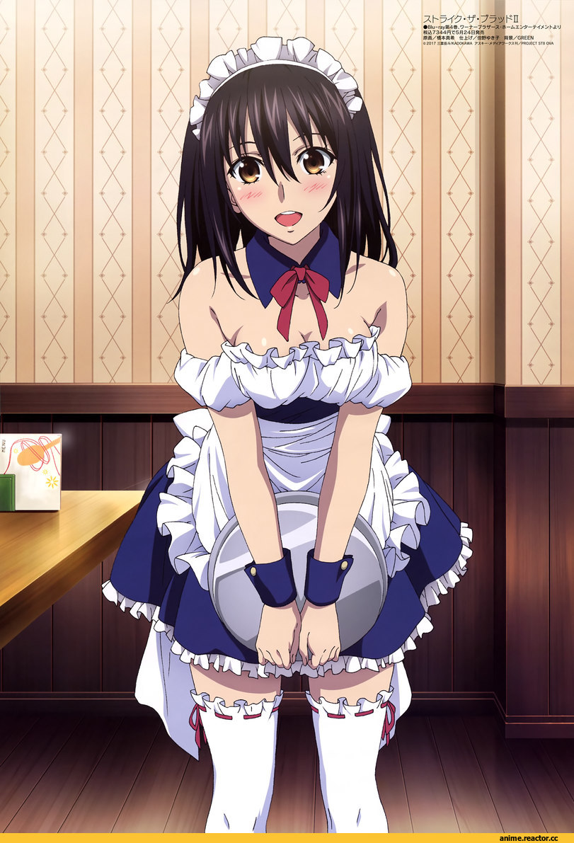 Strike the Blood, himeragi yukina, hashimoto maki, Maid, Anime