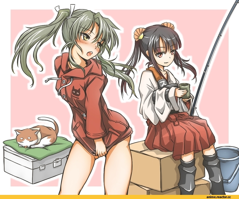 Zuikaku, Kantai Collection, Anime