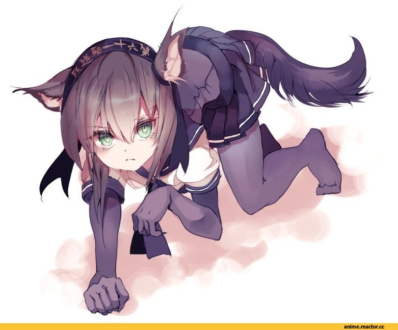 Kantai Collection, Hatsuzuki (Kantai Collection), cis (carcharias), Inumimi, Animal Ears, Anime