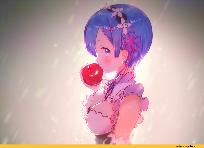 Re Zero Kara Hajimeru Isekai Seikatsu, Rem (re zero), Anime