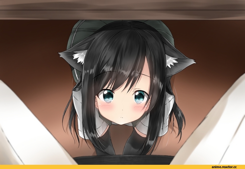 pentagon (railgun ky1206), asashio (kantai collection), Kantai Collection, Admiral (Kantai Collection), nekomimi, Animal Ears, Anime