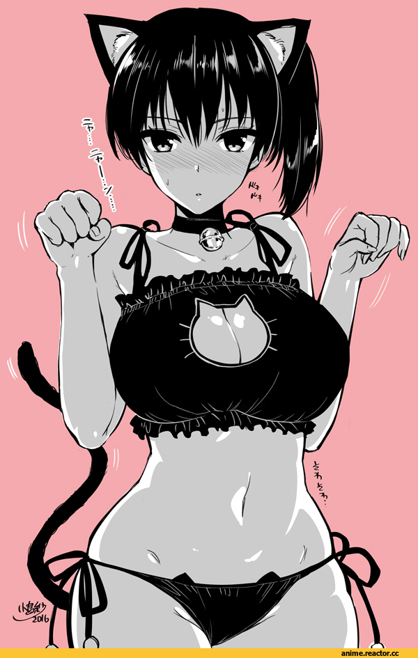 kaga, Kantai Collection, Kojima Saya, Anime Art, Cat Keyhole Bra, neko, Animal Ears, Adult pantsu, Anime Ero, удалённое, Anime