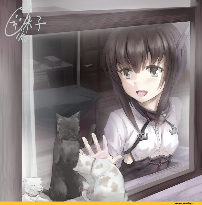 Taihou, Kantai Collection, yonago miko, Anime