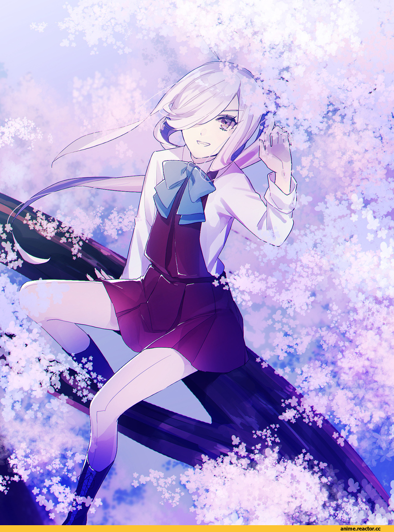 Kantai Collection, Asashimo (Kantai Collection), Anime
