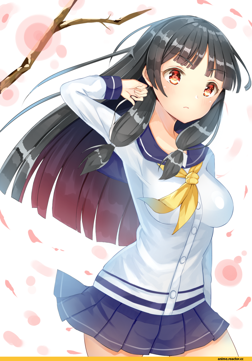 Kantai Collection, Isokaze (Kantai Collection), nan (jyomyon), Anime