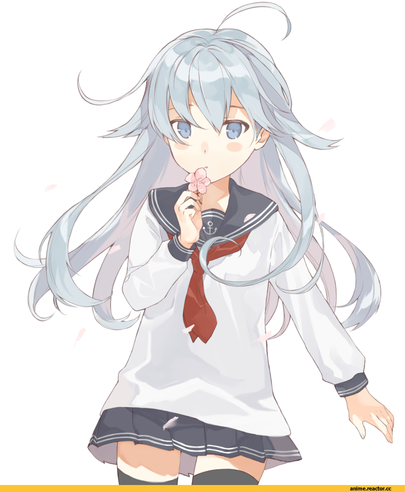 Kantai Collection, Hibiki (Kantai Collection), hasegawa (rarairairai), Anime