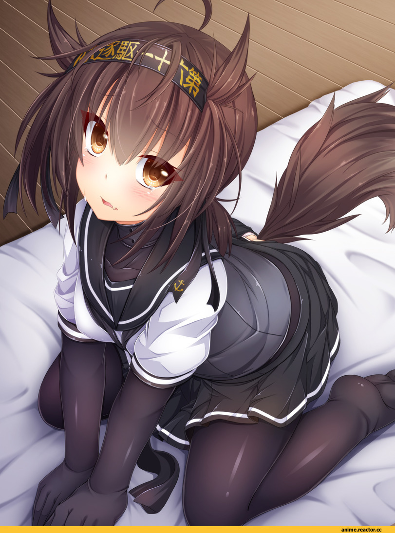 Kantai Collection, Hatsuzuki (Kantai Collection), wakagi repa, Inumimi, Animal Ears, Anime
