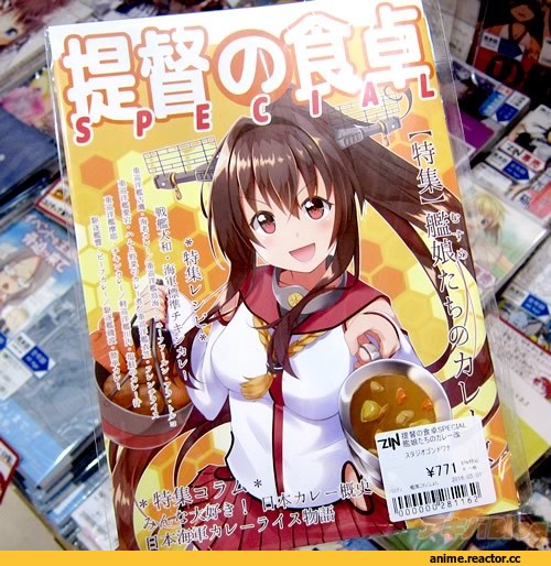 Hyuuga (Kantai Collection), Kantai Collection, Anime