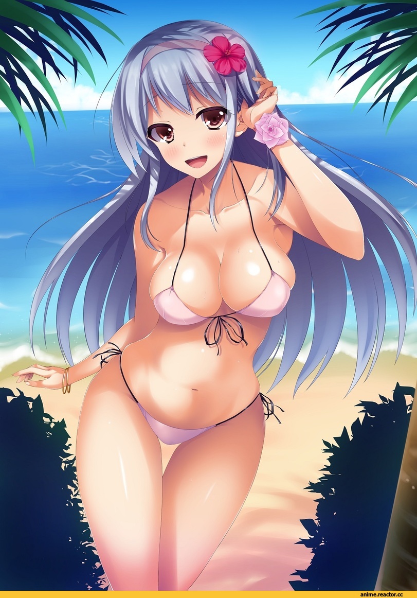 Shoukaku, Kantai Collection, Anime Ero Swim, Anime Ero, Anime