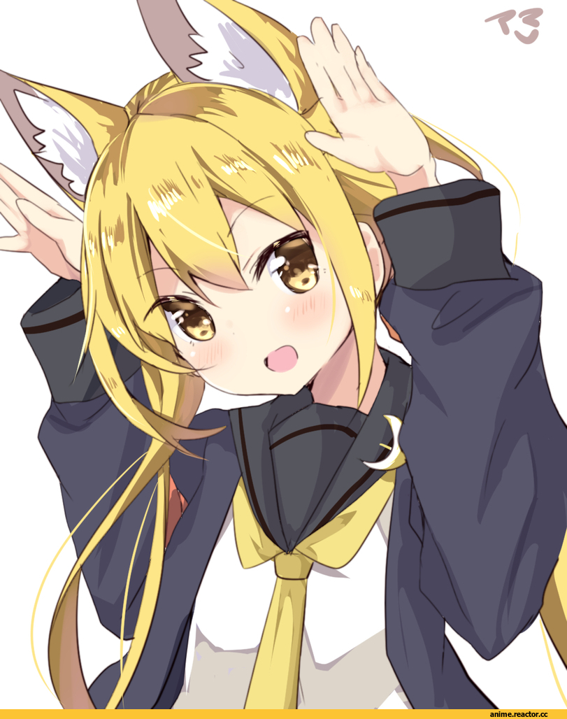 Kantai Collection, Satsuki (Kantai Collection), Amano Kouki, Animal Ears, Anime