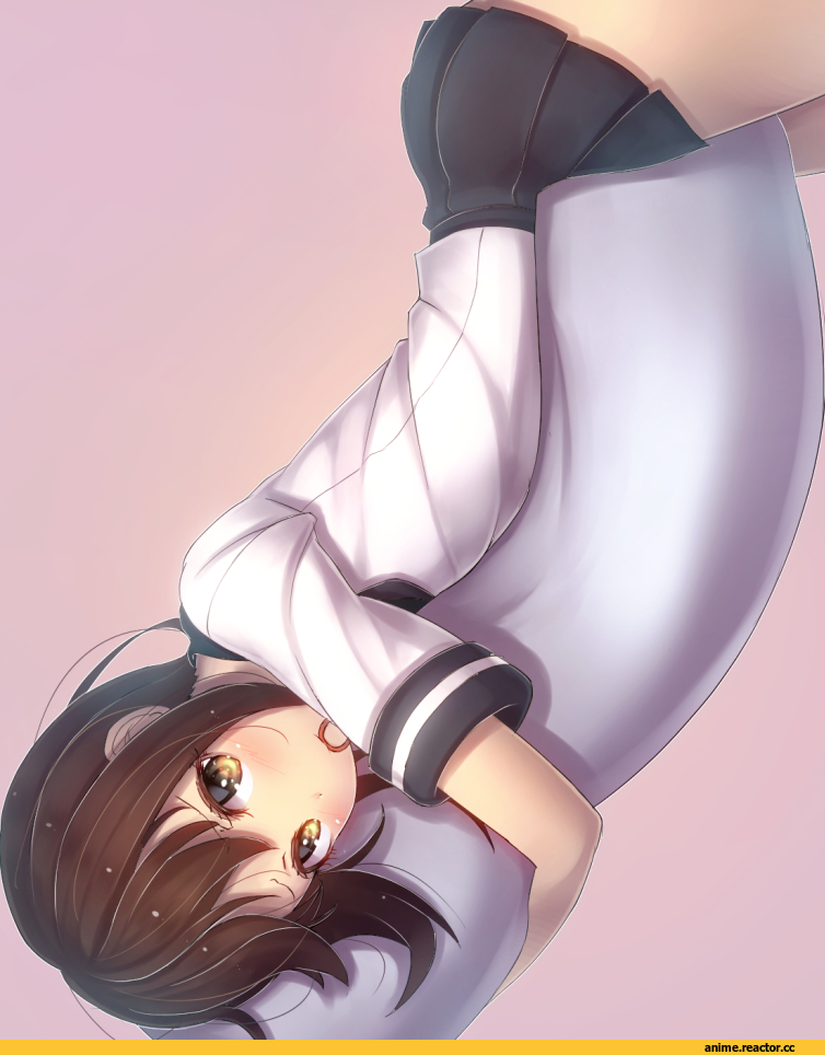 Pola (Kantai Collection), Kantai Collection, Anime