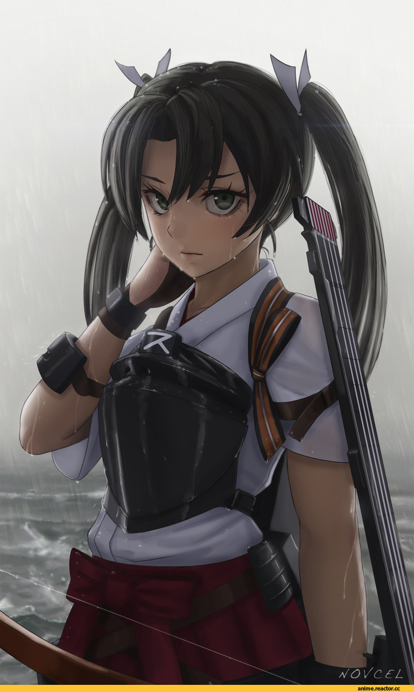 Zuikaku, Kantai Collection, novcel, Anime