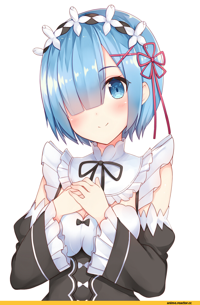 Shuuichi, Rem (re zero), Re Zero Kara Hajimeru Isekai Seikatsu, Anime