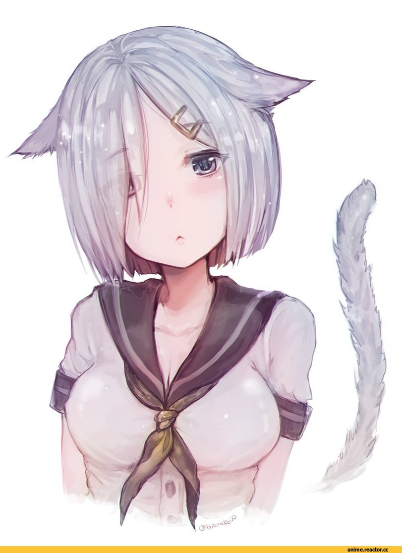 Hamakaze (Kantai Collection), Kantai Collection, neko, Animal Ears, hatoneko, Anime