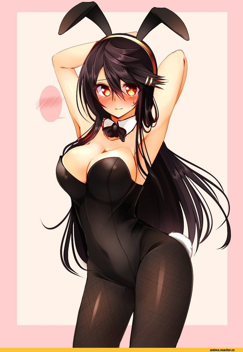 Tsukui Kachou, Anime Art, Haruna (Kantai Collection), Kantai Collection, Bunnysuit, Anime