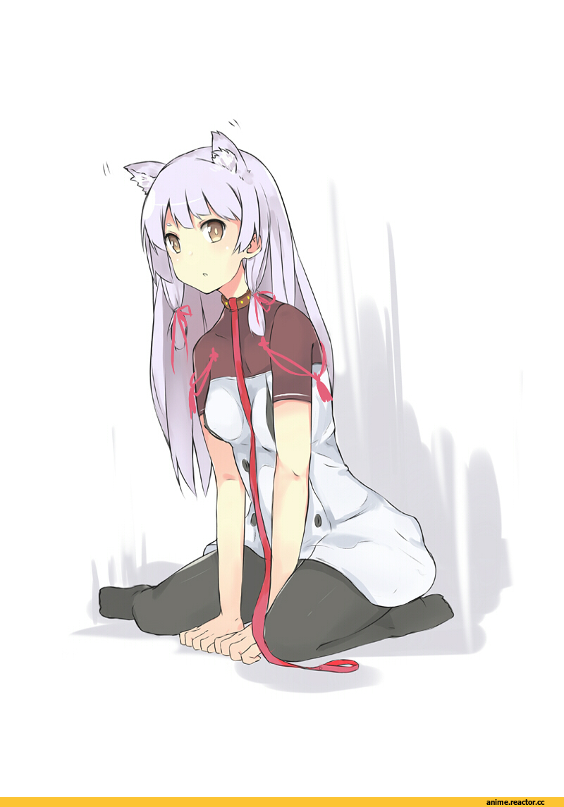 Murakumo (Kantai Collection), Kantai Collection, Anime Ears, moonlaw, nekomimi, Anime