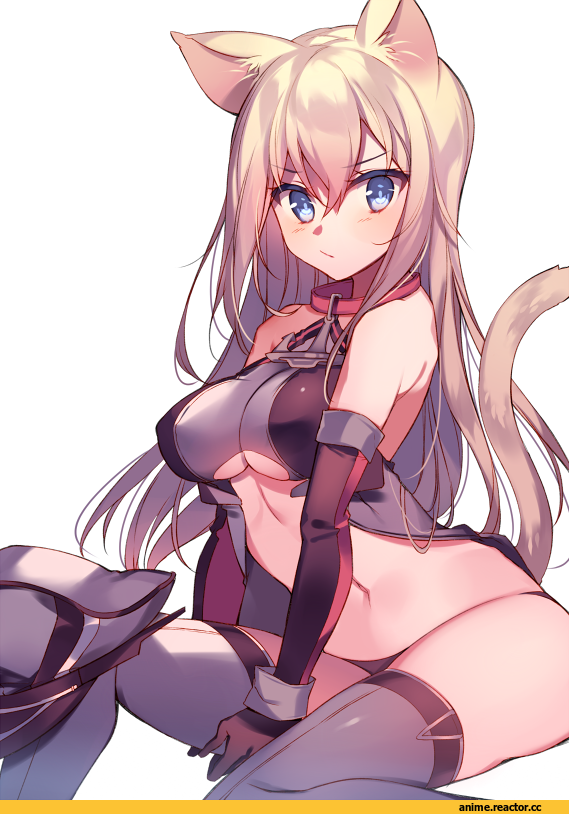 kureaki (exit), Bismarck (Kantai Collection), Kantai Collection, neko, Animal Ears, Anime Ero, Anime Adult pantsu, Anime