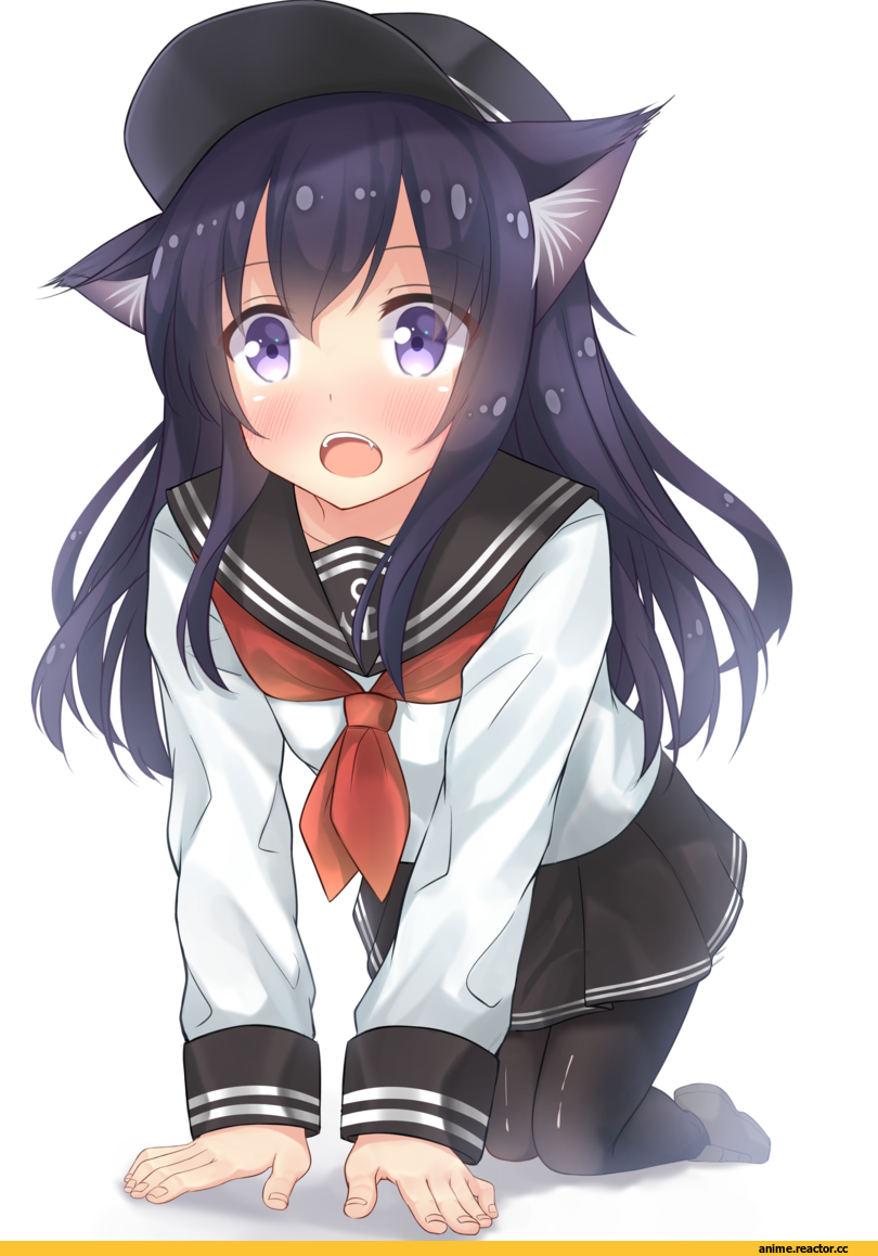 Go-1, Akatsuki, Kantai Collection, Animal Ears, Anime