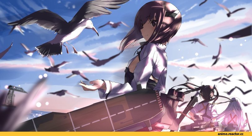 Tsuuhan, Taihou, Kantai Collection, Zuikaku, Shoukaku (Kantai Collection), Anime