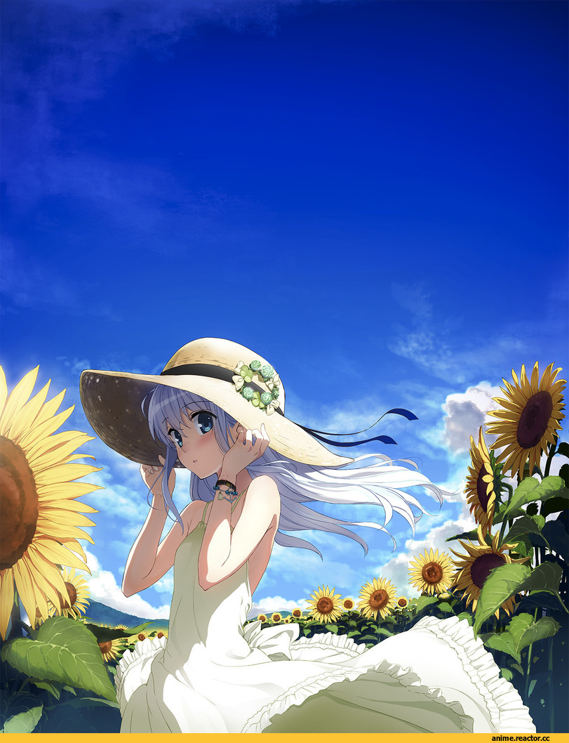 honjou masato, Hibiki (Kantai Collection), Kantai Collection, Anime