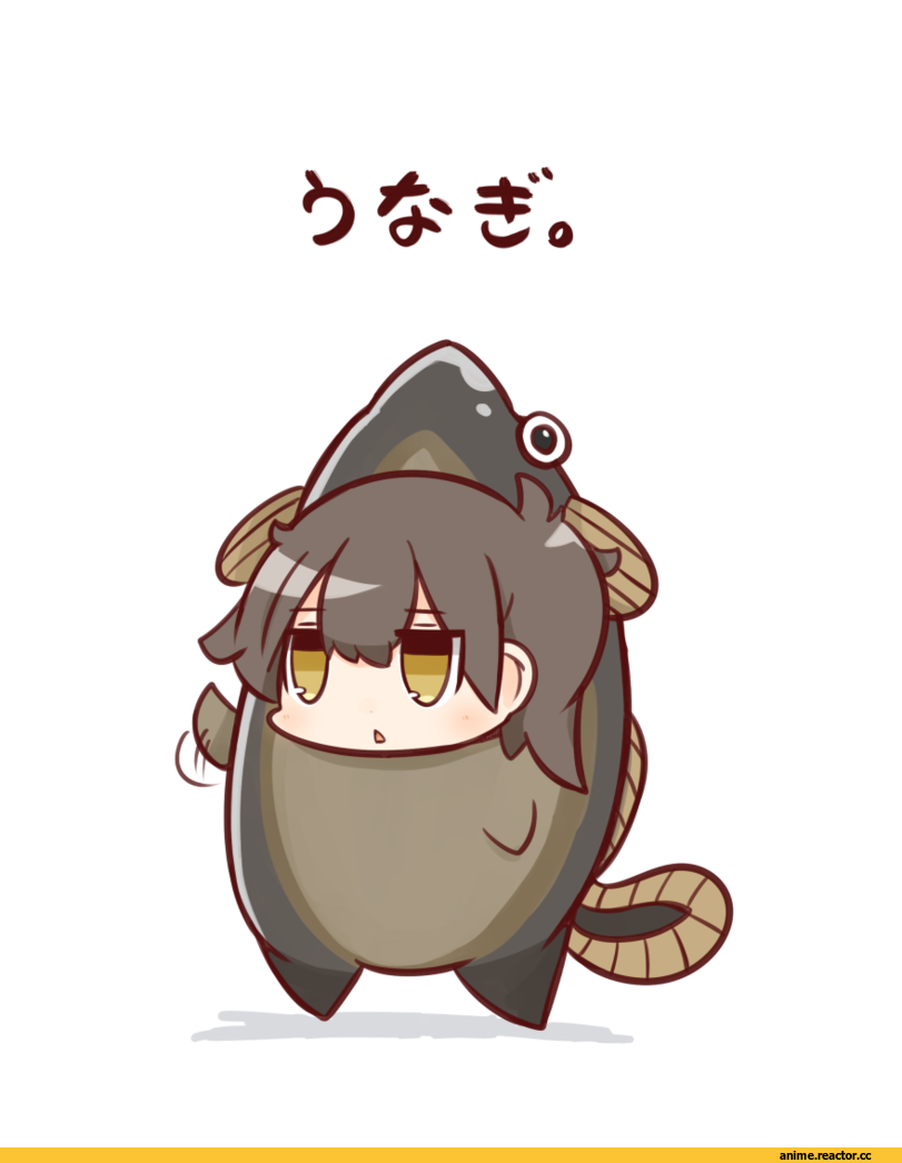 Kaga (Kantai Collection), Kantai Collection, Akagi, nuu (nu-nyu), Anime