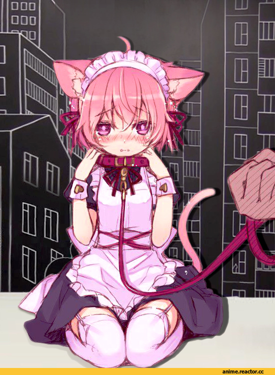 neko, Animal Ears, Nel, Maid, Anime