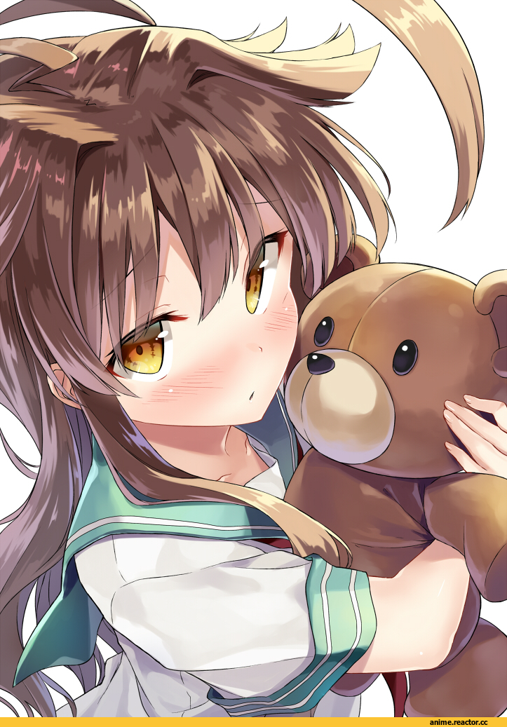 Kuma (Kantai Collection), Kantai Collection, kakao rantan, Anime