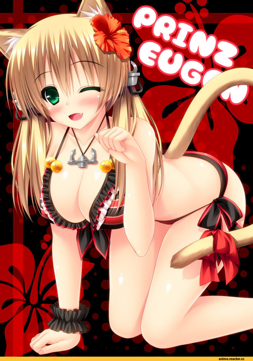 shocchan (sanymph), Prinz Eugen, Kantai Collection, Anime Ero, neko, Animal Ears, Anime Ero Swim, Anime