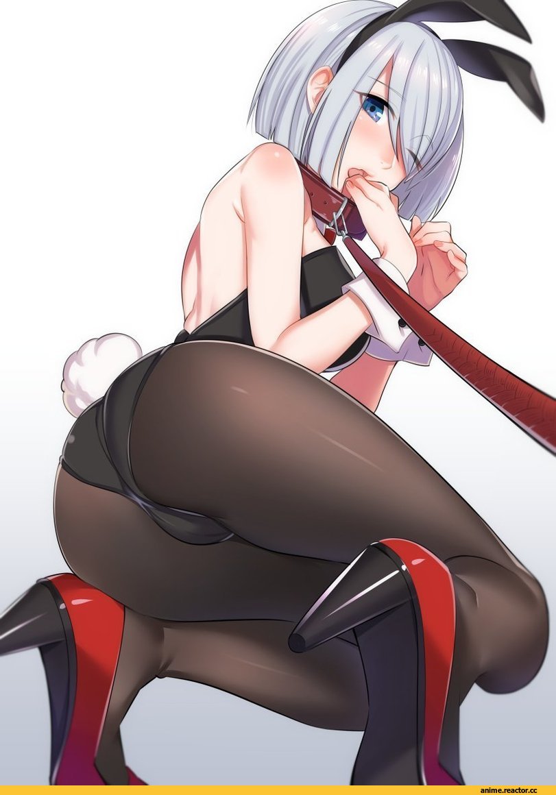 kyuuso inukami, Hamakaze (Kantai Collection), Kantai Collection, Bunnysuit, Anime Ero, Anime Ero Ass, Anime