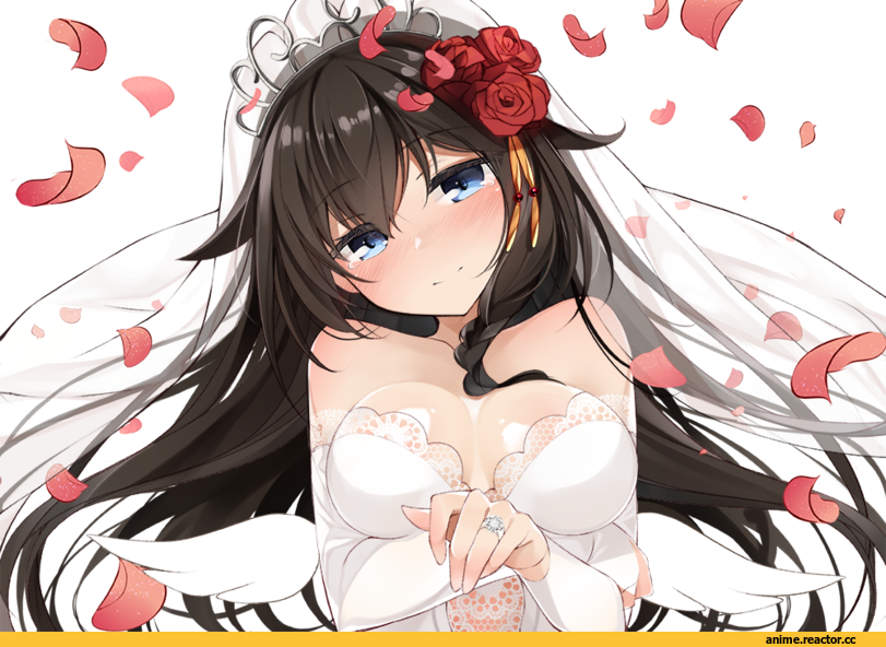 netarou, Shigure (Kantai Collection), Kantai Collection, Anime