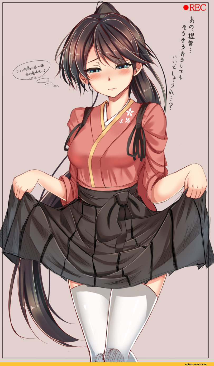 sazamiso rx, Houshou (Kantai Collection), Kantai Collection, Anime