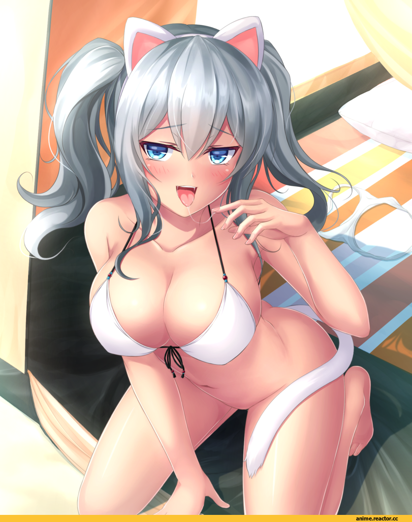 Kamelie, Hagikaze (Kantai Collection), Kantai Collection, Anime