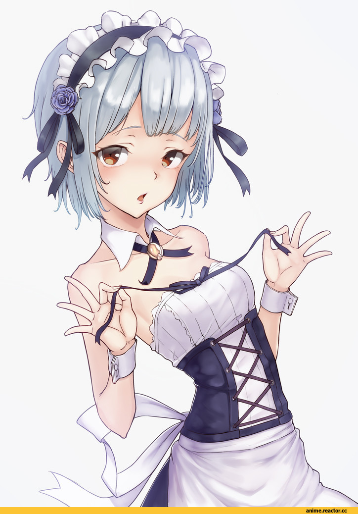 Maid, ryuu dog, Anime