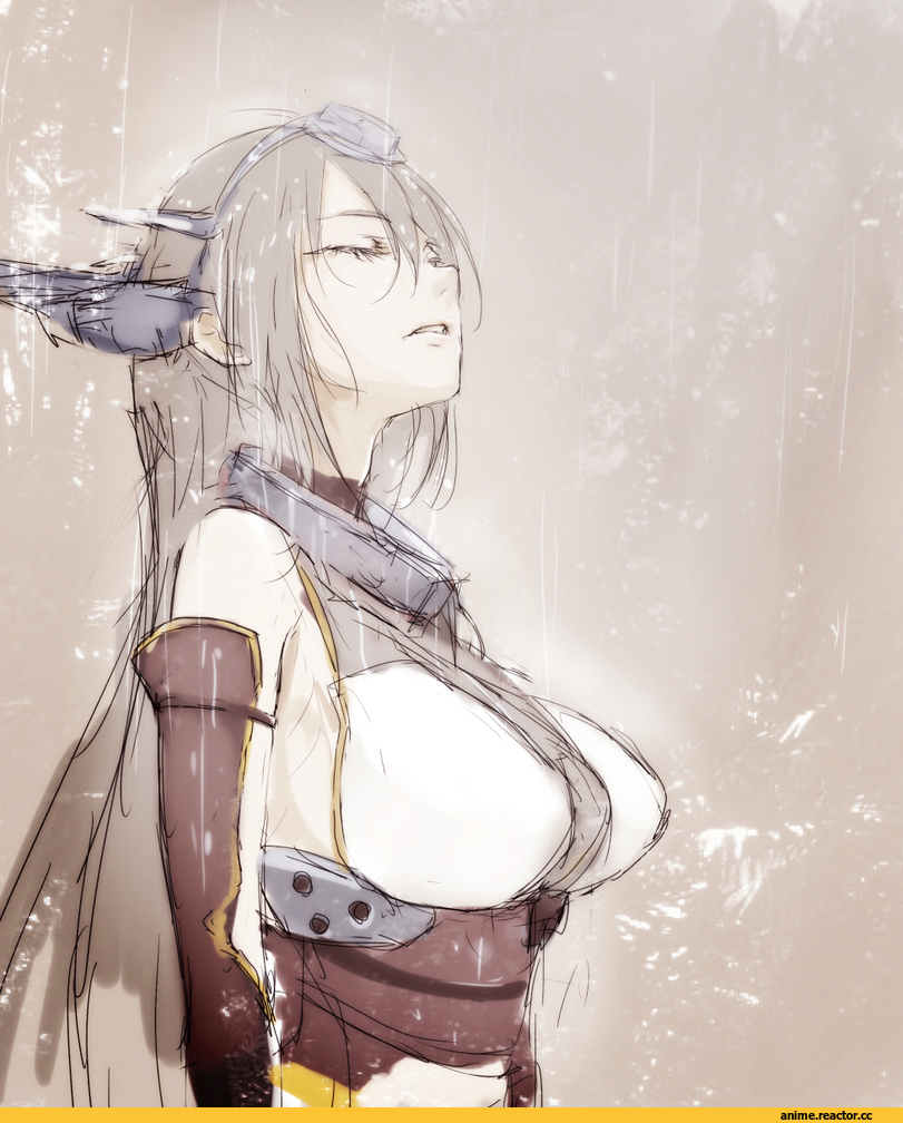 Nagato (Kantai Collection), Kantai Collection, re (tori), Anime
