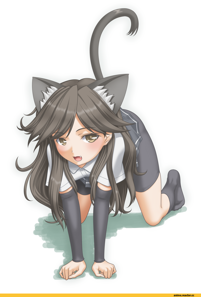 Arashio (Kantai Collection), Kantai Collection, t2r, neko, Animal Ears, Anime