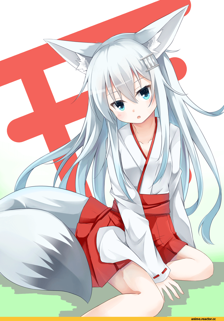hibiki, Kantai Collection, Animal Ears, Anime