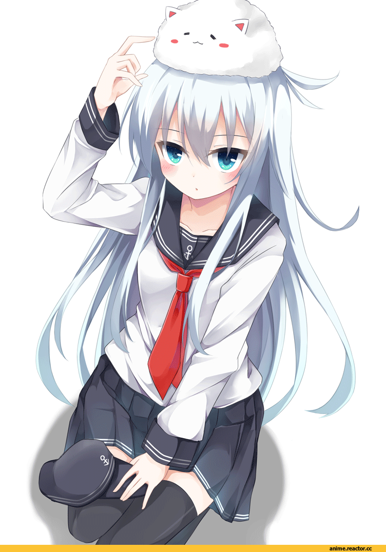 Hibiki (Kantai Collection), Kantai Collection, Gochuumon wa Usagi Desu ka?, Chino Kafuu, Anime