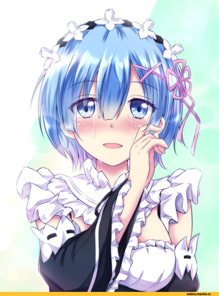 Re Zero Kara Hajimeru Isekai Seikatsu, Rem (re zero), folko, Anime
