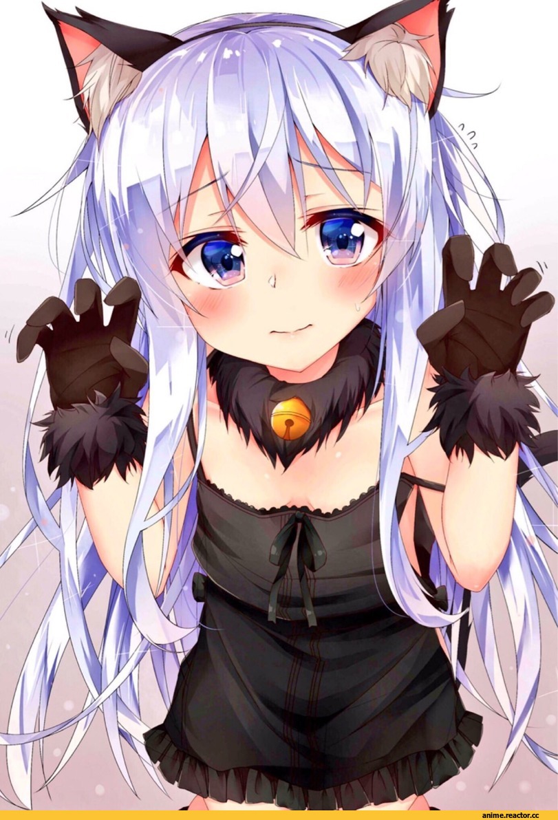 Hibiki (Kantai Collection), Kantai Collection, neko, Animal Ears, rouka, Anime