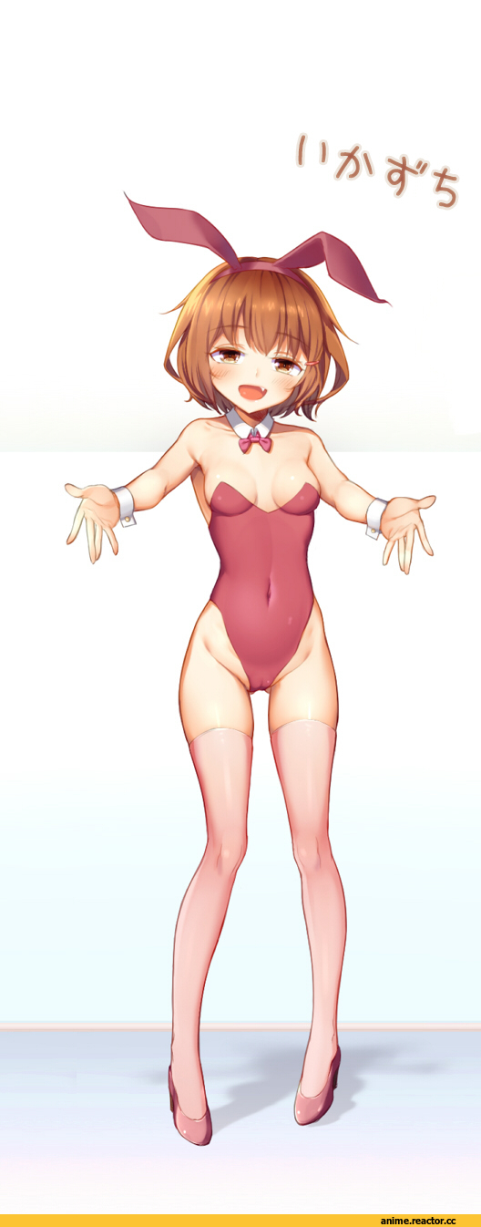 Kantai Collection, Hibiki (Kantai Collection), Ikazuchi, rokuroku (xd p), Anime