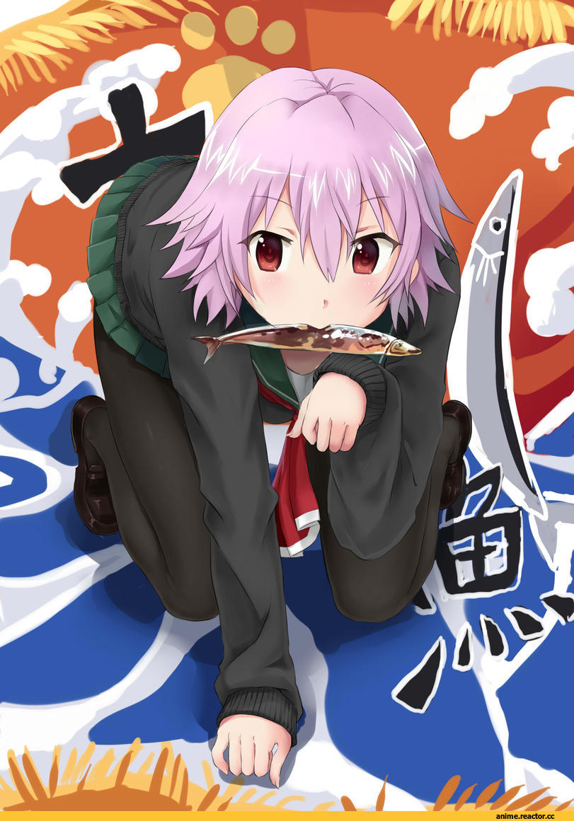 Kantai Collection, Tama (Kantai Collection), yinzhai, Anime